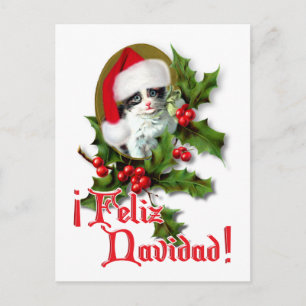 Cartes Pour Fêtes Annuelles Feliz Navidad - Christmas Kitten