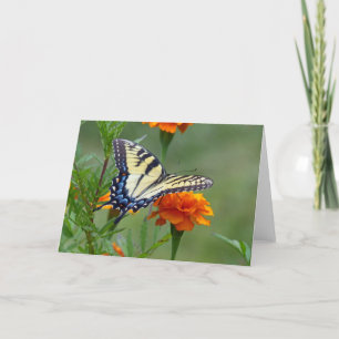 Cartes Pour Fêtes Annuelles Femelle jaune Tigre de l'Est Swallowtail