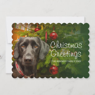 Cartes Pour Fêtes Annuelles Femme noire Labrador Retriever