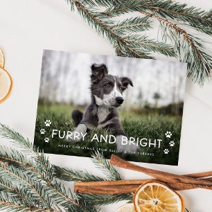 Cartes Pour Fêtes Annuelles Fer et brillant   Photo de Noël du chien