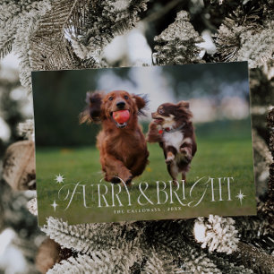 Cartes Pour Fêtes Annuelles Fer et chien brillant Horizontal photo Noël
