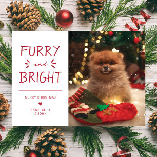 Cartes Pour Fêtes Annuelles Fer et lumière Pet Photo Noël Rouge