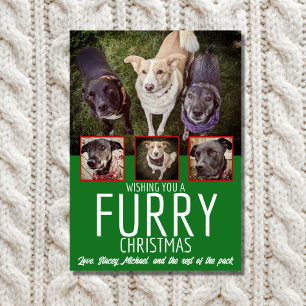 Cartes Pour Fêtes Annuelles Fer Noël Multi Photo Chien Collage Noël