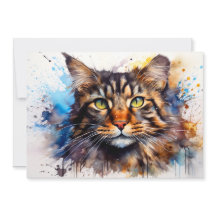 Feral Maine Coon