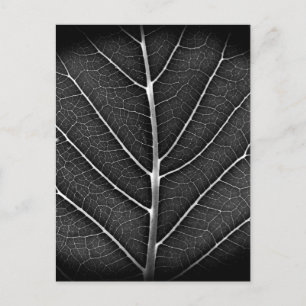Cartes Pour Fêtes Annuelles Fermeture de la feuille brillante noire et blanche