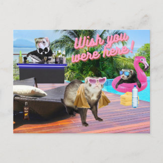 Cartes Pour Fêtes Annuelles Ferret Holiday