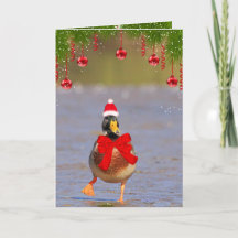 Festif Fun Mallard Canard Noël