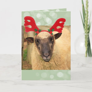 Cartes Pour Fêtes Annuelles Festif Reindeer Sheep Noël