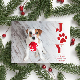 Cartes Pour Fêtes Annuelles Festive Paws   Pet Photo Holiday Card