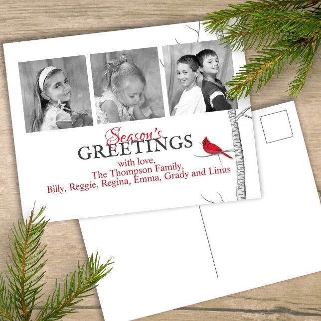 Cartes Pour Fêtes Annuelles Fête Cardinale Rouge Noël Woodland 3 Photo (Simple winter botanical red cardinal postcard with a minimalist design.)