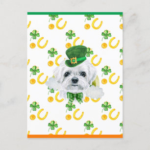 Cartes Pour Fêtes Annuelles Fête de la Saint-Patrick Trèfle Maltais