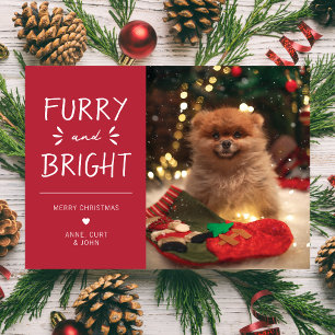Cartes Pour Fêtes Annuelles Fête de Noël avec un animal de compagnie