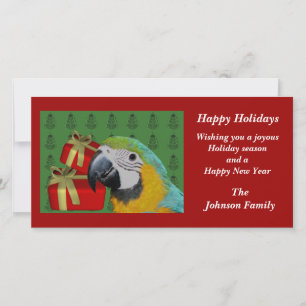 Cartes Pour Fêtes Annuelles Fête de Noël de la Macaw bleu et or