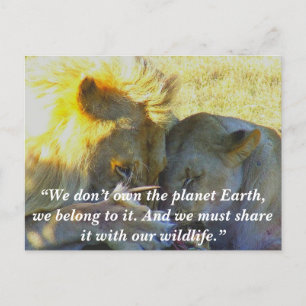 Cartes Pour Fêtes Annuelles Fête de Slogan/Lion Conservation Personnalisée