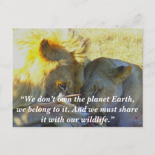 Cartes Pour Fêtes Annuelles Fête de Slogan/Lion Conservation Personnalisée (Devant)