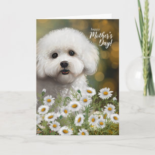 Cartes Pour Fêtes Annuelles Fête des Mères Bichon Frise Maman Chien Marguerite