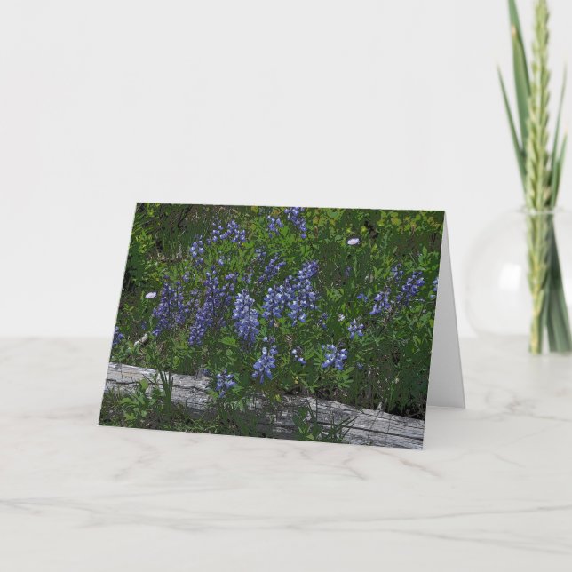 Cartes Pour Fêtes Annuelles Fête des mères des Lupins (Devant)