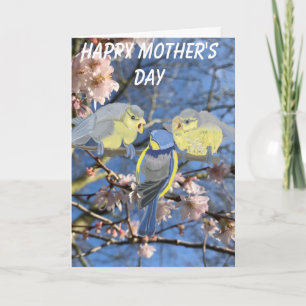 Cartes Pour Fêtes Annuelles Fête des Mères et des Bébés