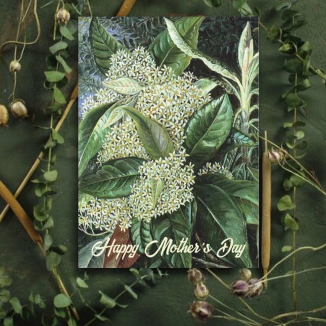 Cartes Pour Fêtes Annuelles Fête des mères Floral blanc (Créateur téléchargé)