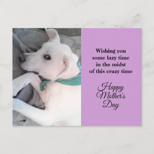 Cartes Pour Fêtes Annuelles Fête des Mères mignonne Lavande de Chien Chien Bla