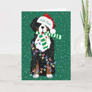 Cartes Pour Fêtes Annuelles Fêtes Bernese Mountain Christmas Chien