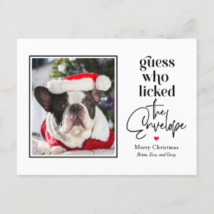 Cartes Pour Fêtes Annuelles Fêtes de Noël pour animaux domestiques utiles