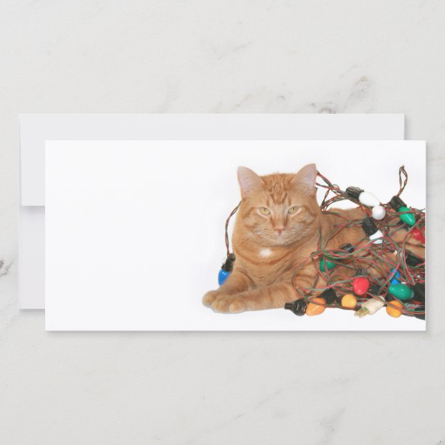 Cartes Pour Fêtes Annuelles Feu de Noël (Devant)