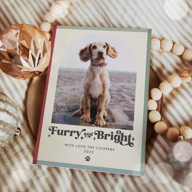 Cartes Pour Fêtes Annuelles Feu et Chien brillant Photo Drôle Noël (Créateur téléchargé)