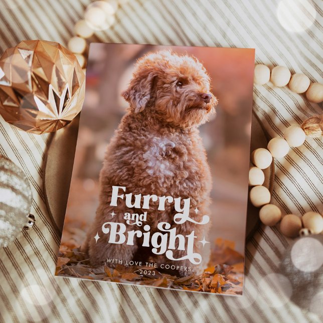 Cartes Pour Fêtes Annuelles Feu et Chien brillant Photo Drôle Noël (Créateur téléchargé)