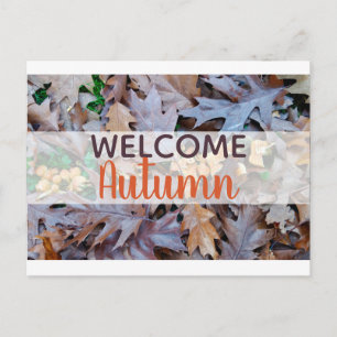 Cartes Pour Fêtes Annuelles Feuillage brun feuille tombé à l'automne