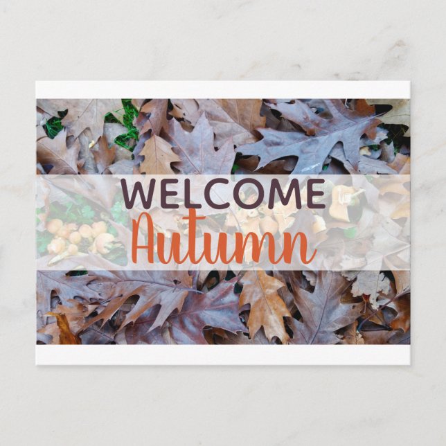 Cartes Pour Fêtes Annuelles Feuillage brun feuille tombé à l'automne (Devant)