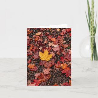 Cartes Pour Fêtes Annuelles Feuilles d'automne