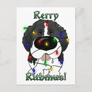 Cartes Pour Fêtes Annuelles Feux de Noël à Terre-Neuve