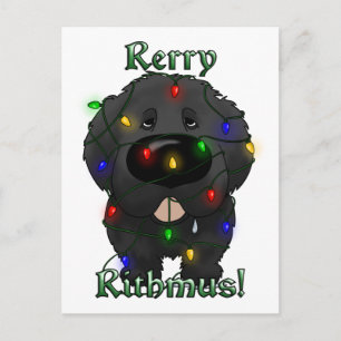 Cartes Pour Fêtes Annuelles Feux de Noël à Terre-Neuve