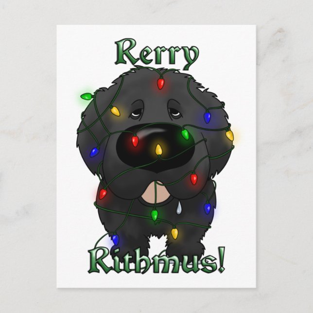 Cartes Pour Fêtes Annuelles Feux de Noël à Terre-Neuve (Devant)