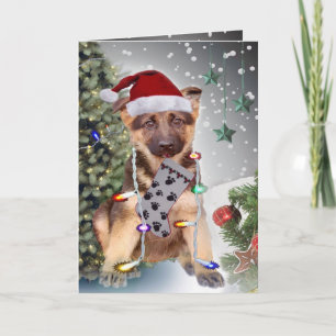Cartes Pour Fêtes Annuelles Feux de Noël berger allemand