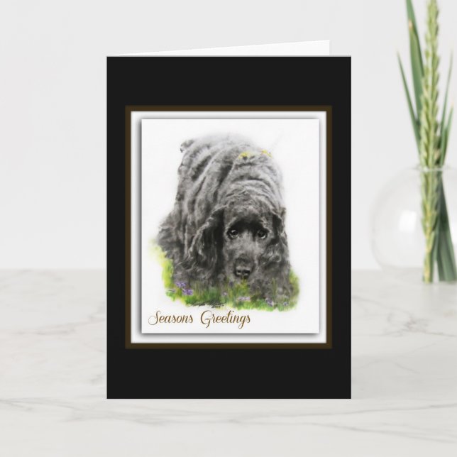 Cartes Pour Fêtes Annuelles Field Spaniel (Devant)