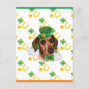 Cartes Pour Fêtes Annuelles Fil Cheveux Dachshund Shamrock St. Patricks Day