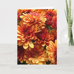 Cartes Pour Fêtes Annuelles Filles, Thanksgiving