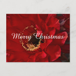 Cartes Pour Fêtes Annuelles Firelight Cactus, Joyeux Noël