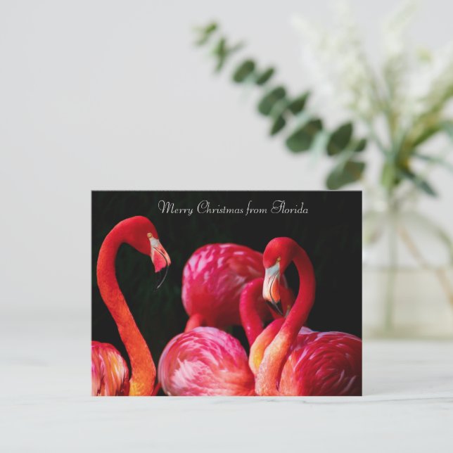 Cartes Pour Fêtes Annuelles Flamant rose rose, Joyeux Noël de Floride (Debout devant)