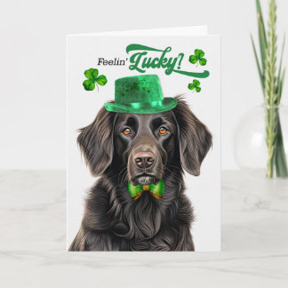 Cartes Pour Fêtes Annuelles Flat Coat Retriever Chien Chanceux St Patrick's Da