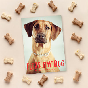Cartes Pour Fêtes Annuelles Fleas Navidog mignon chien drôle   Photo de vacanc