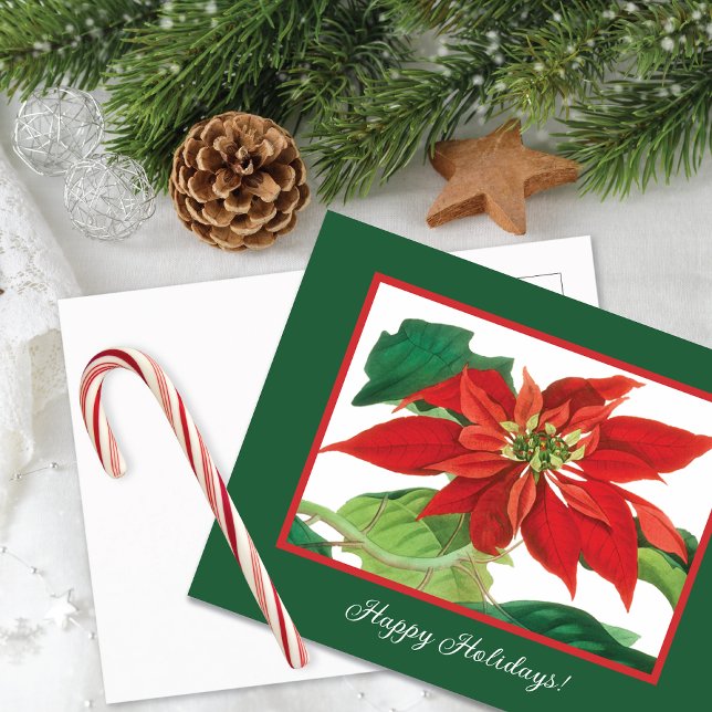 Cartes Pour Fêtes Annuelles Fleur botanique de Poinsettia (Créateur téléchargé)