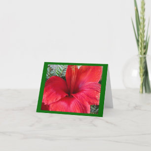 Cartes Pour Fêtes Annuelles Fleur d'amaryllis
