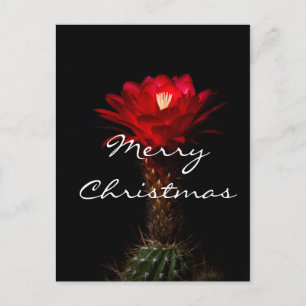 Cartes Pour Fêtes Annuelles Fleur de cactus à torche rouge, Joyeux Noël