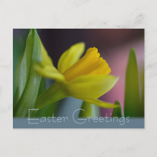 Cartes Pour Fêtes Annuelles Fleur de narcisse jaune CC0735 Salutations de Pâqu