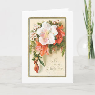 Cartes Pour Fêtes Annuelles Fleur de Noël joyeuse