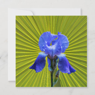 Cartes Pour Fêtes Annuelles Fleur d'Iris