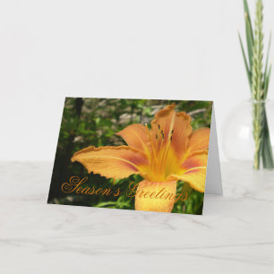 Cartes Pour Fêtes Annuelles Fleur Lys orange